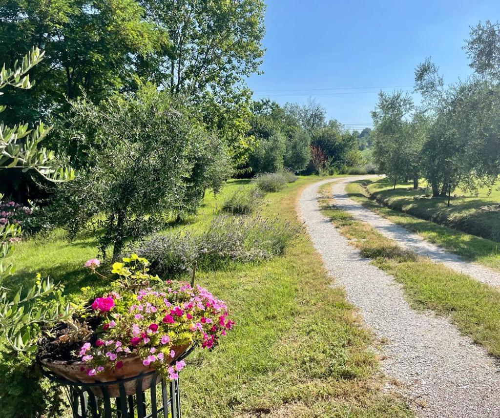 B&B Rosaverde Mulazzano Exteriér fotografie