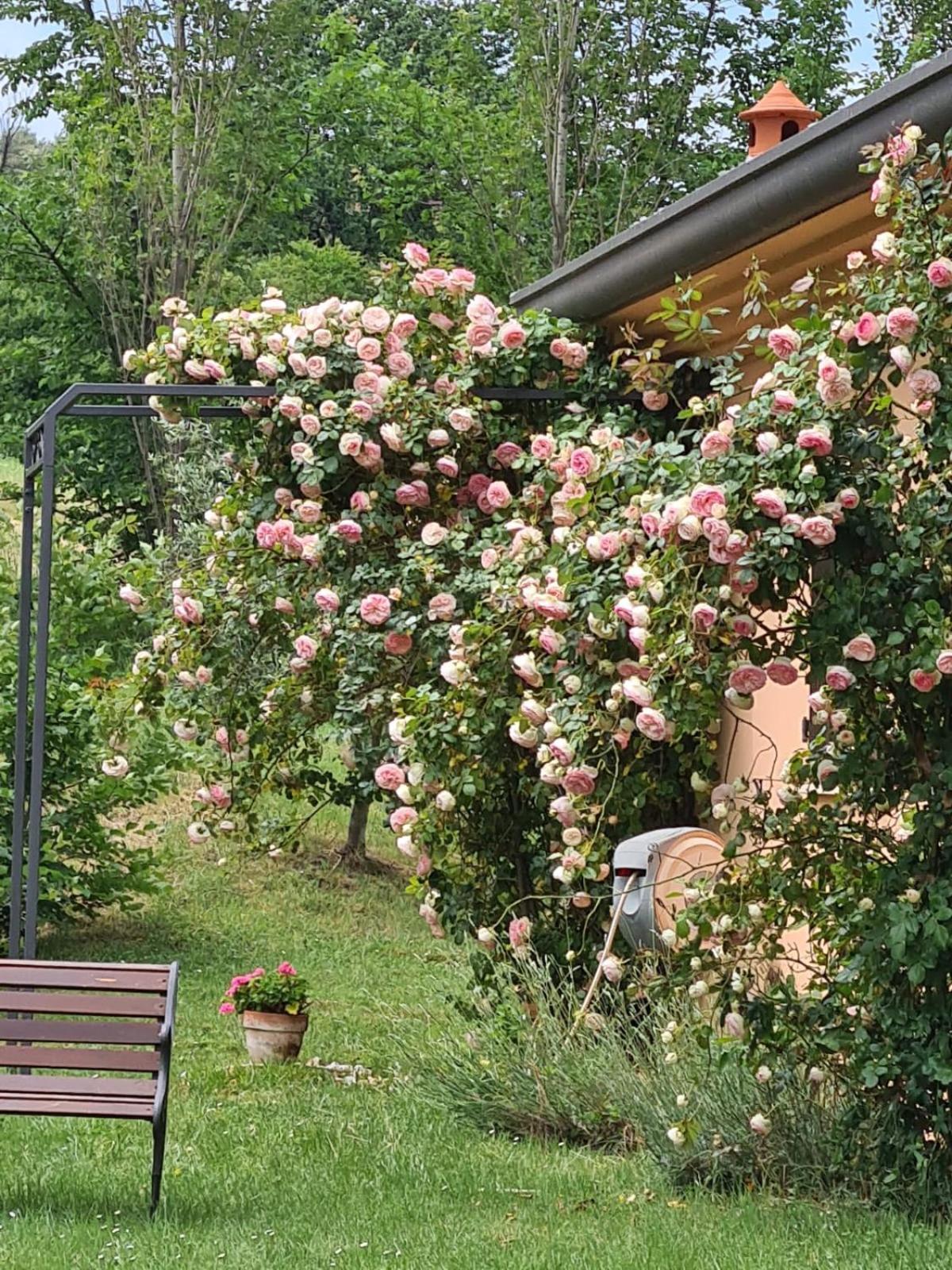 B&B Rosaverde Mulazzano Exteriér fotografie